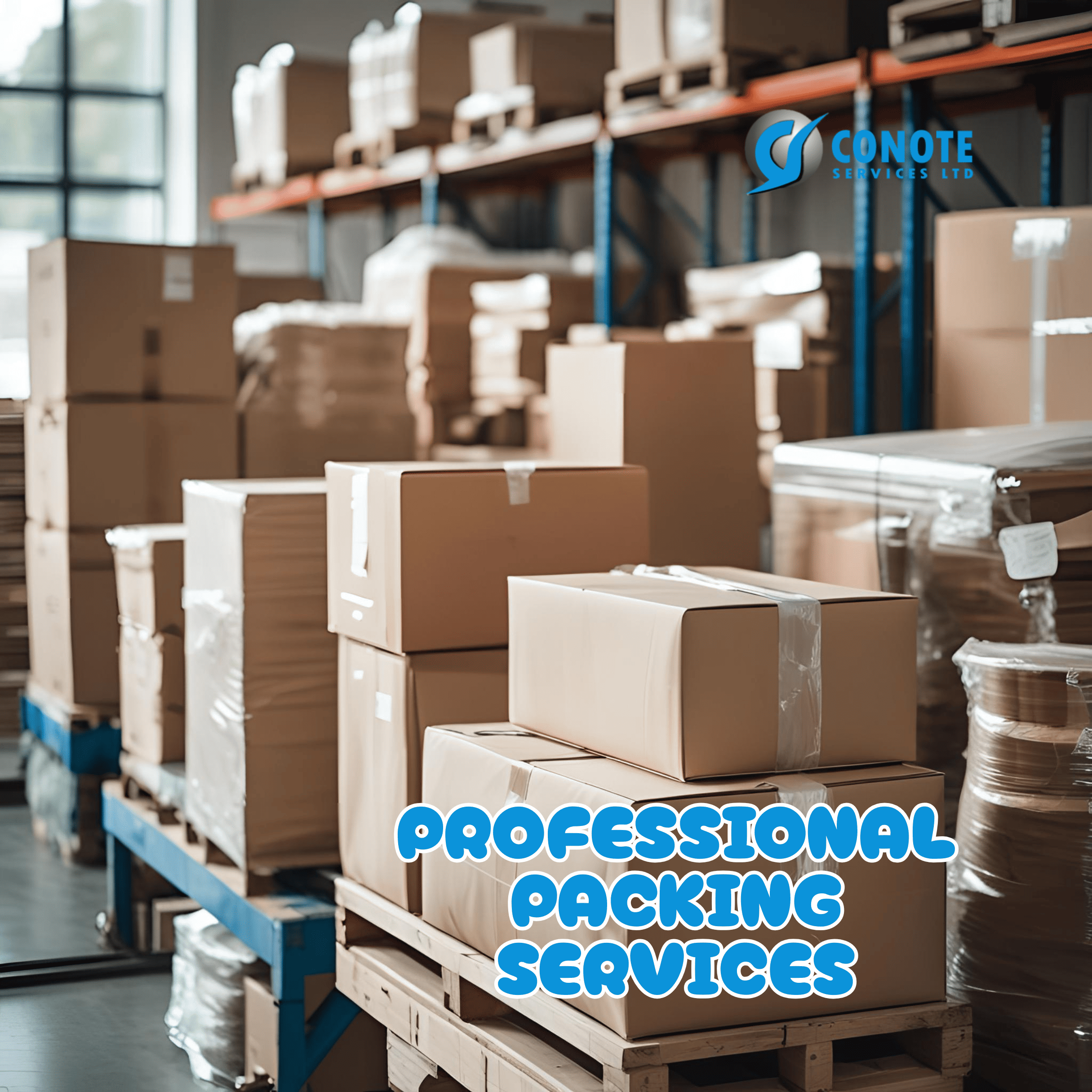 Professional Packing Services