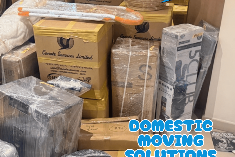 Domestic Moving Solutions